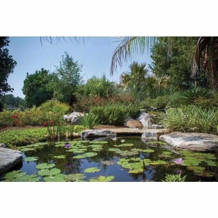 Aquascape Large Pond Kit 21x26 with AquaSurgePRO 4000-8000 Pump (MPN 53036)