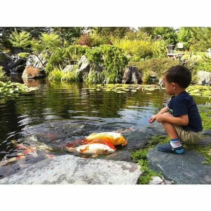 Aquascape Large Pond Kit 21x26 with AquaSurgePRO 4000-8000 Pump (MPN 53036)