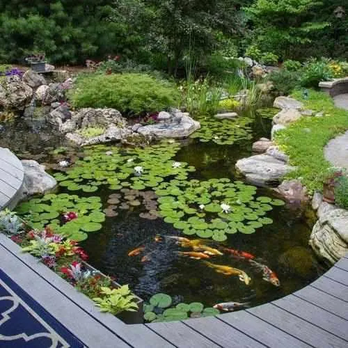 Aquascape Large Pond Kit 21x26 with SLD 5000-9000