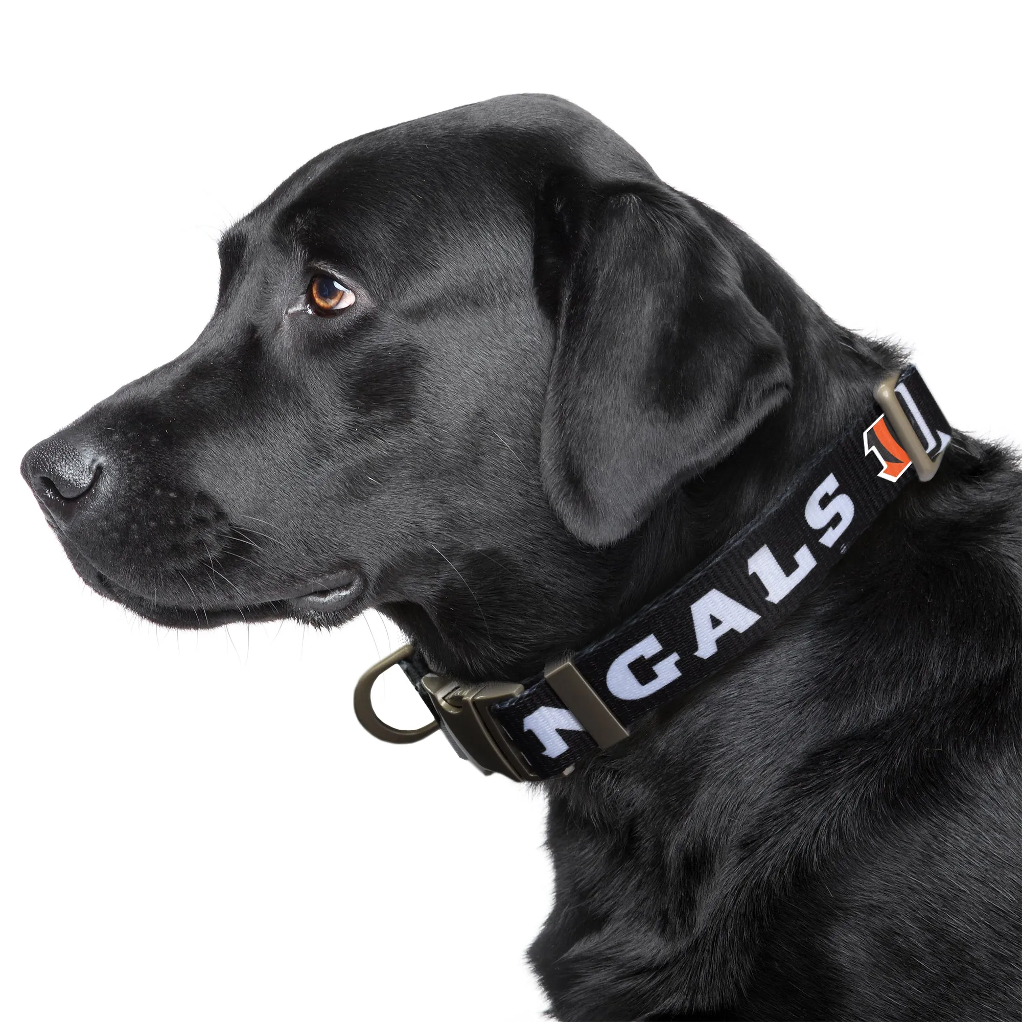 Cincinnati Bengals Premium Pet Collar