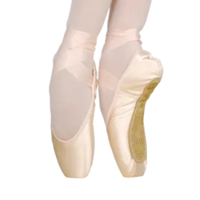 Grishko 2007 Pointe Shoe (Hard Shank)