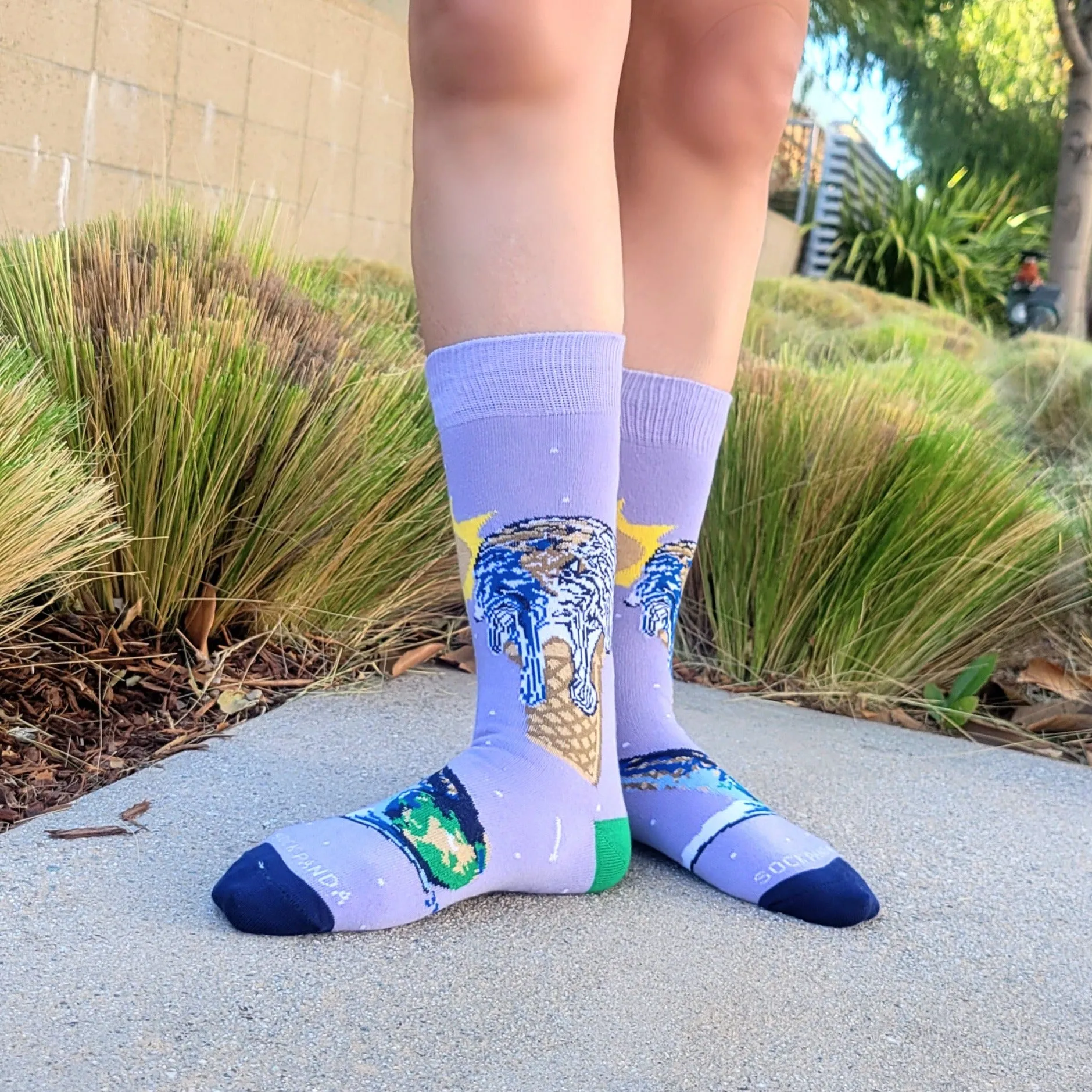 Ice Cream Cone Earth Socks from the Sock Panda (Adult Small -  Shoe Sizes 2-5)